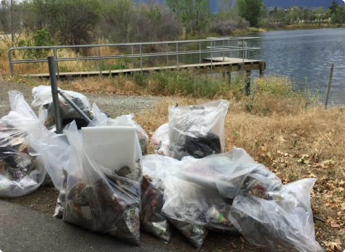 Community Clean Ups 