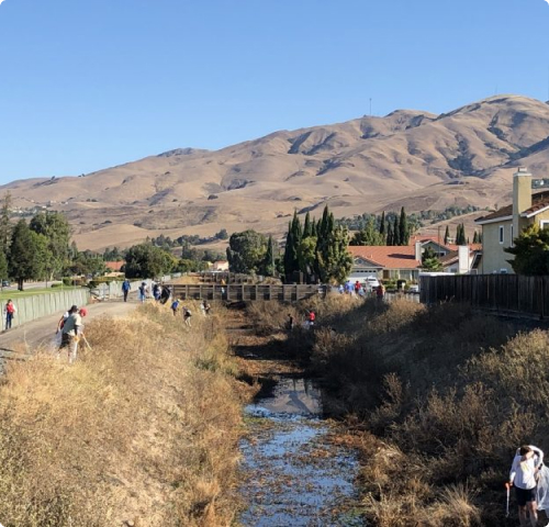 Community Cleanup 