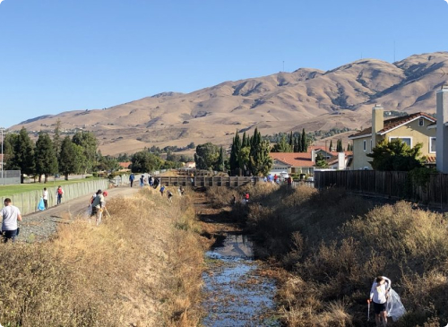 Community Cleanup Drive 