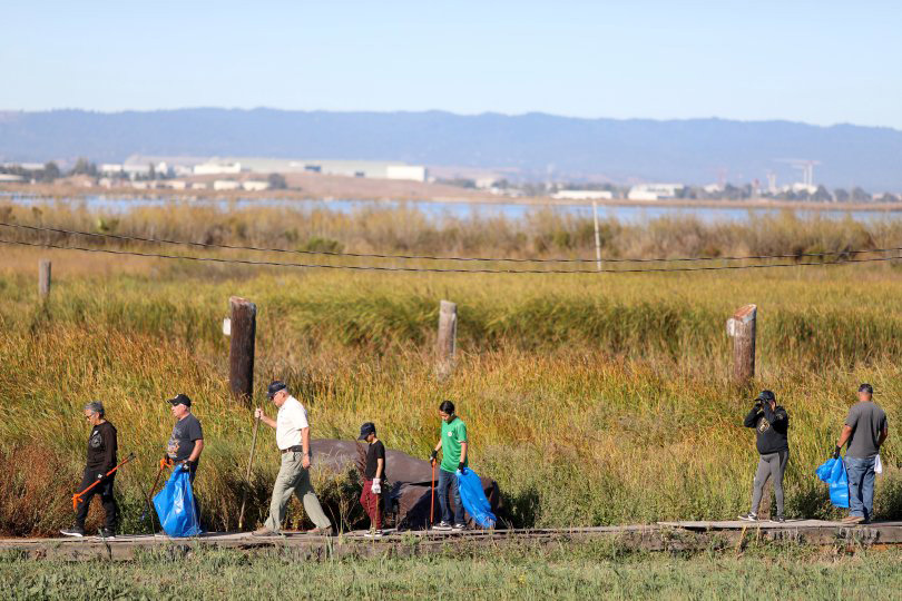 IMG_SJCleanup